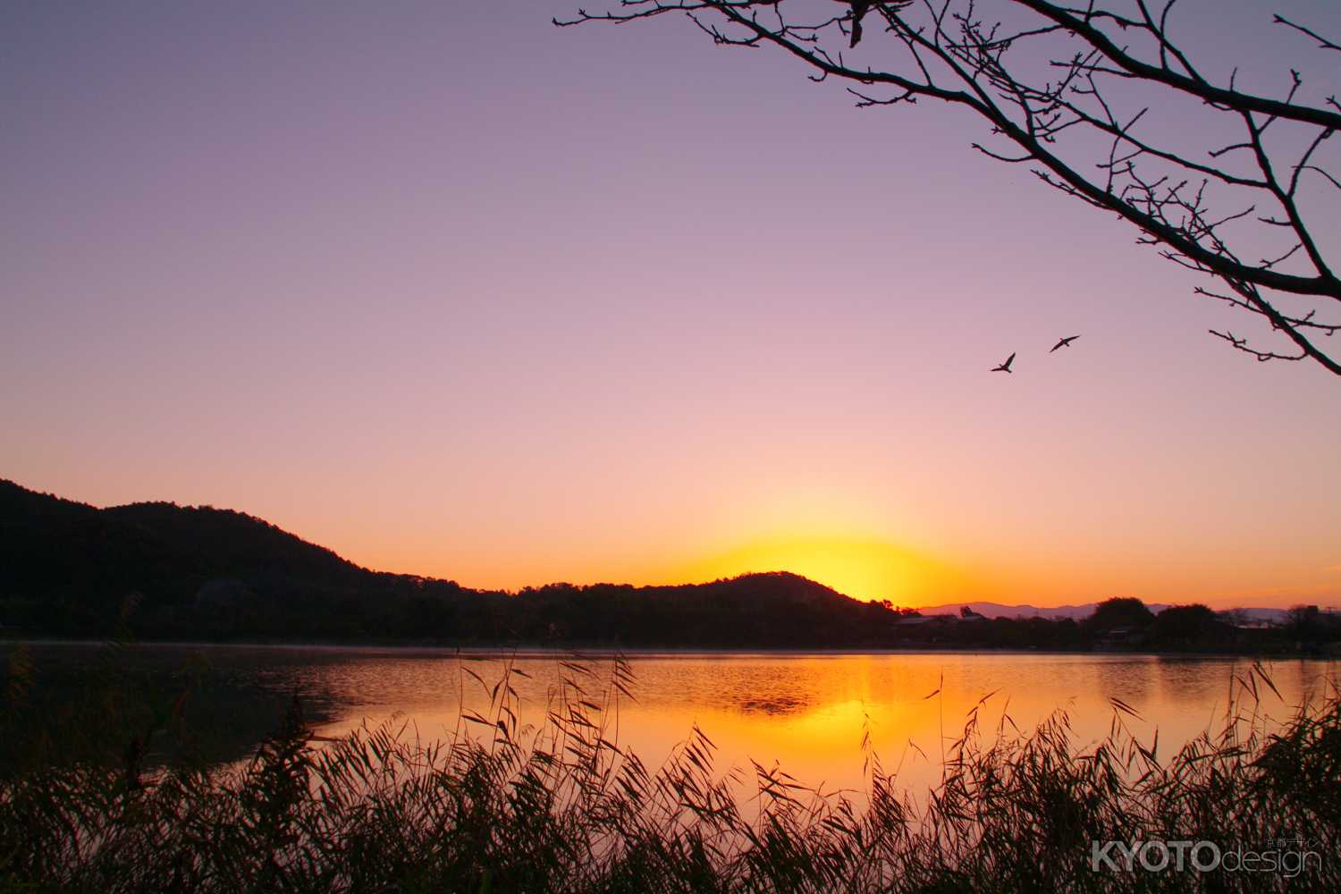 太陽が現れる直前に