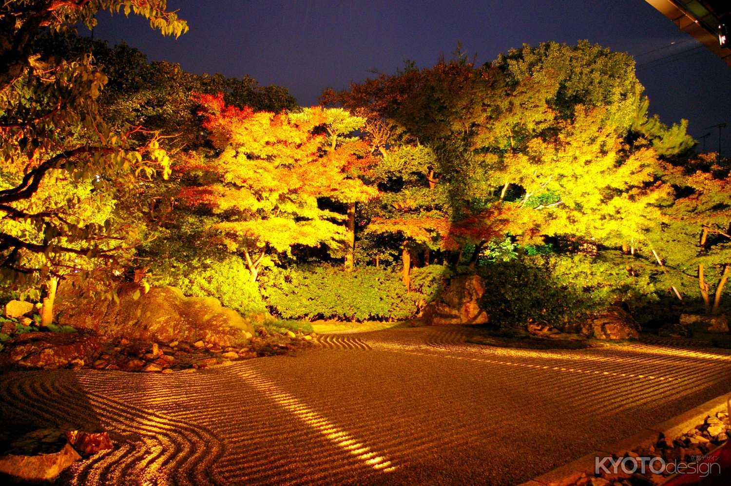 秋の圓徳院　ライトアップ
