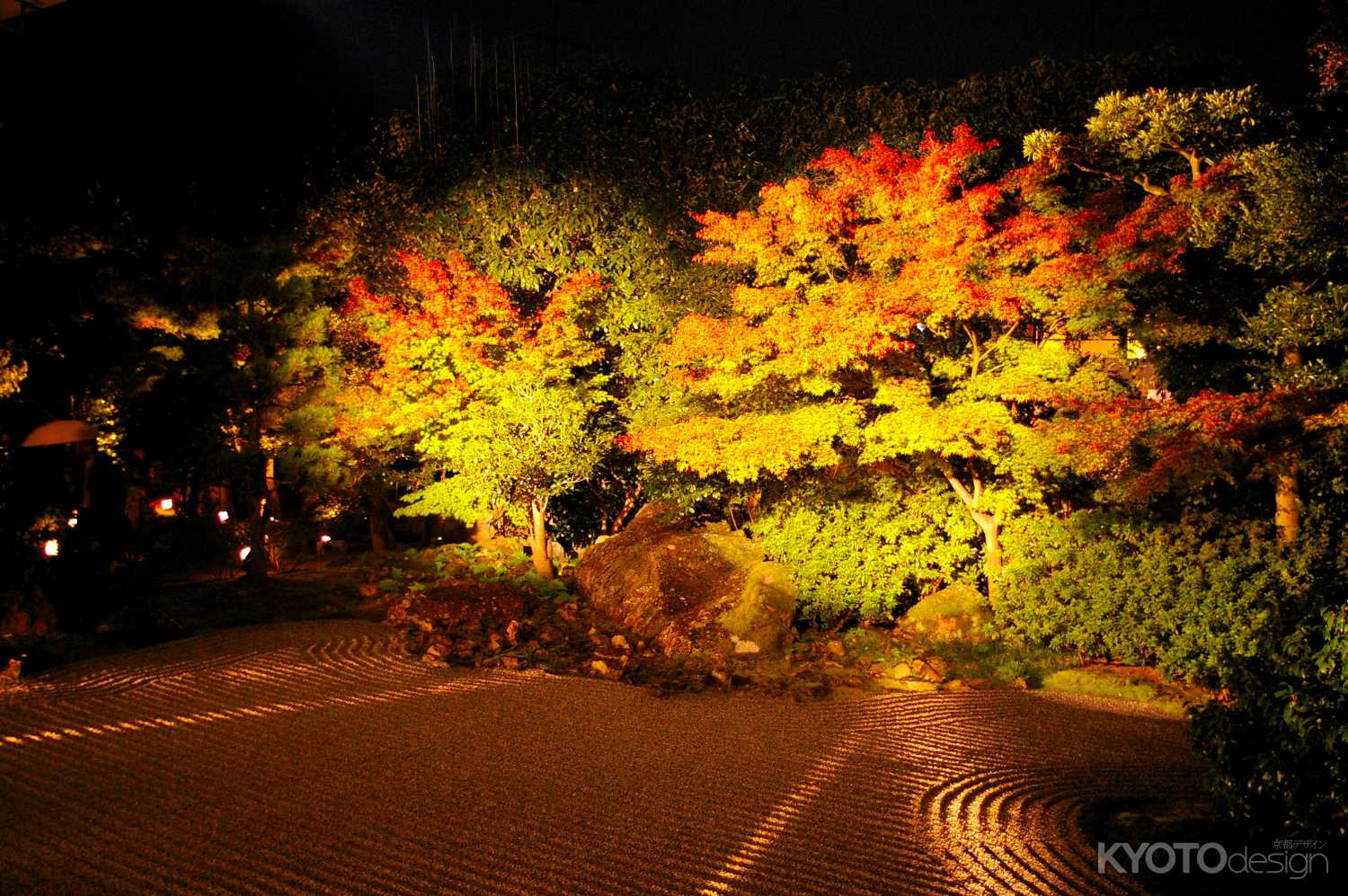 秋の圓徳院　ライトアップ3