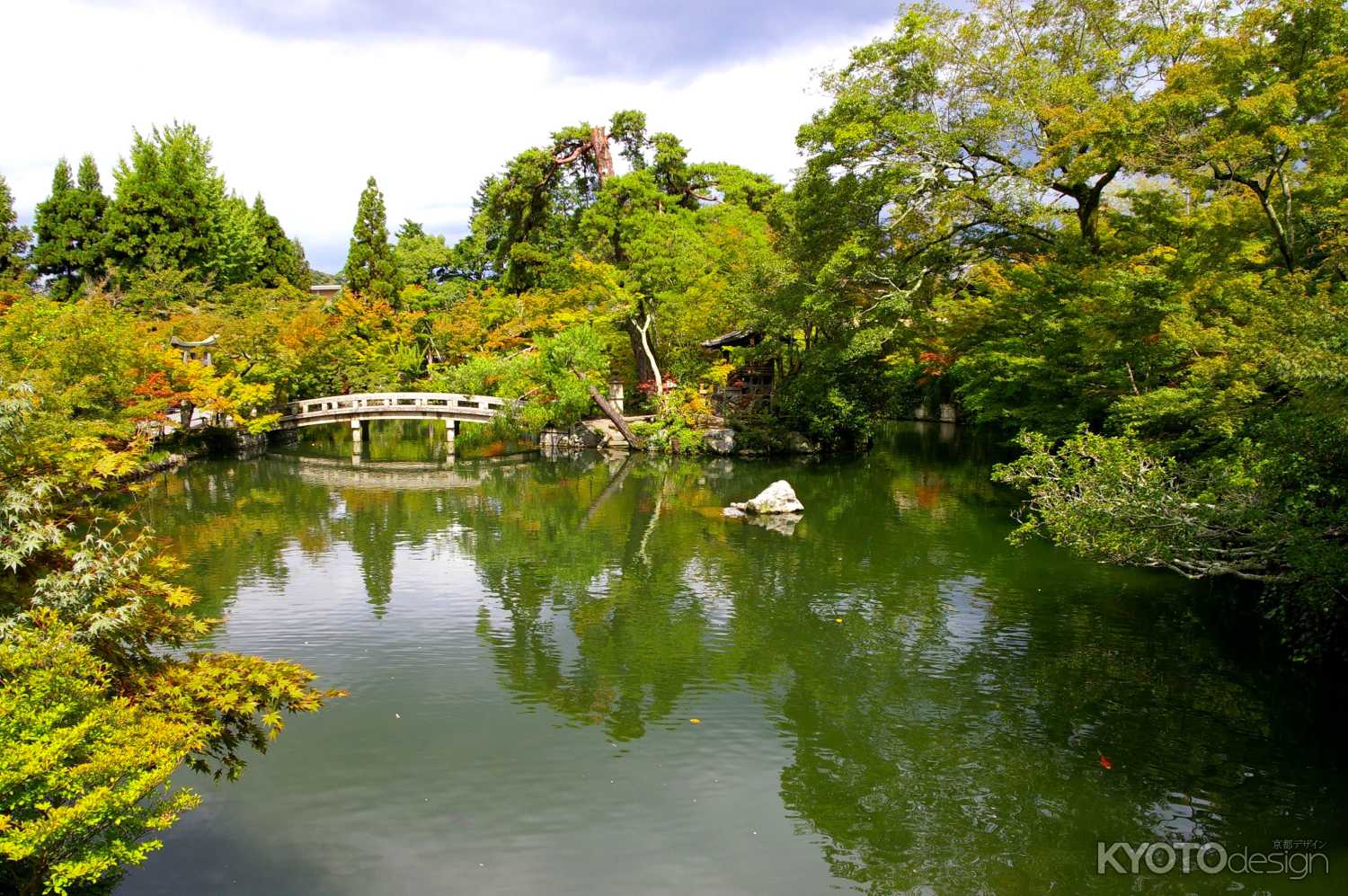 夏の永観堂の風景24