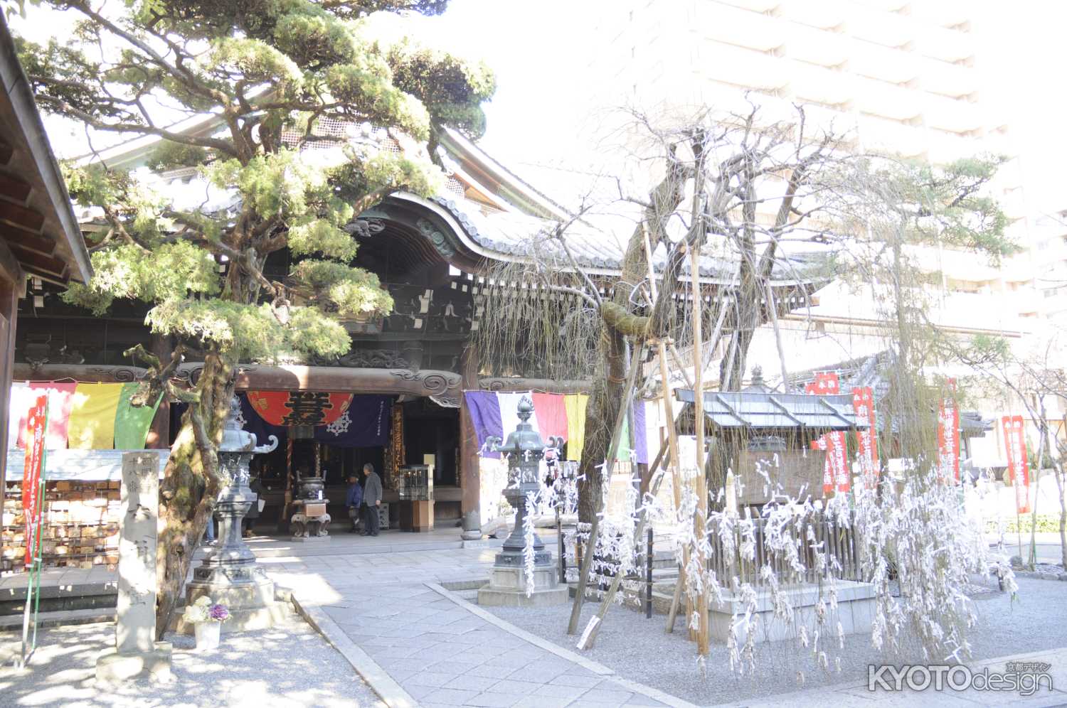 六角堂境内　本殿を臨む