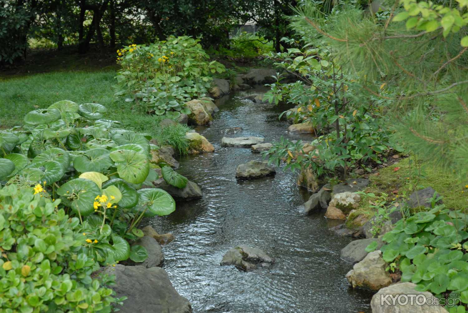 神苑を流れる小川