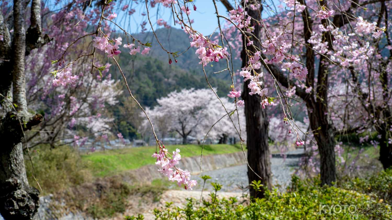 七谷川和らぎの道