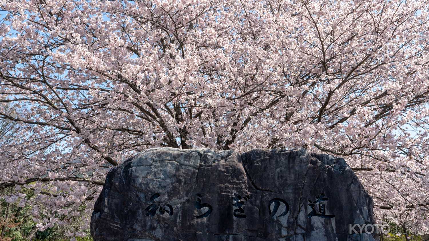 七谷川和らぎの道