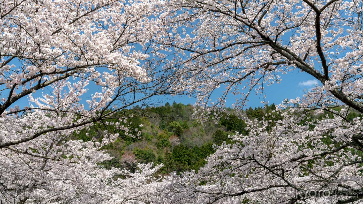 七谷川和らぎの道