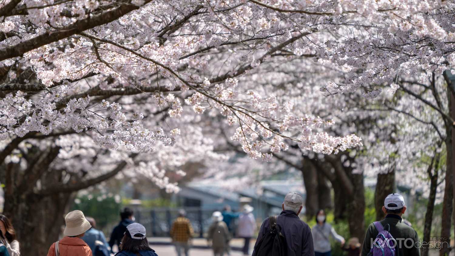 七谷川和らぎの道