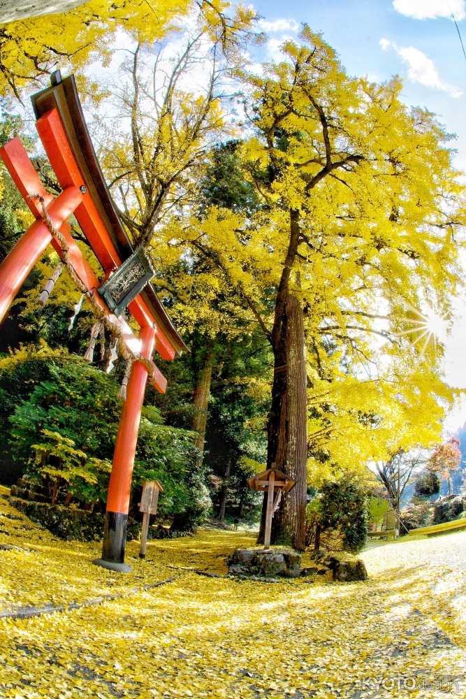 岩戸落葉神社
