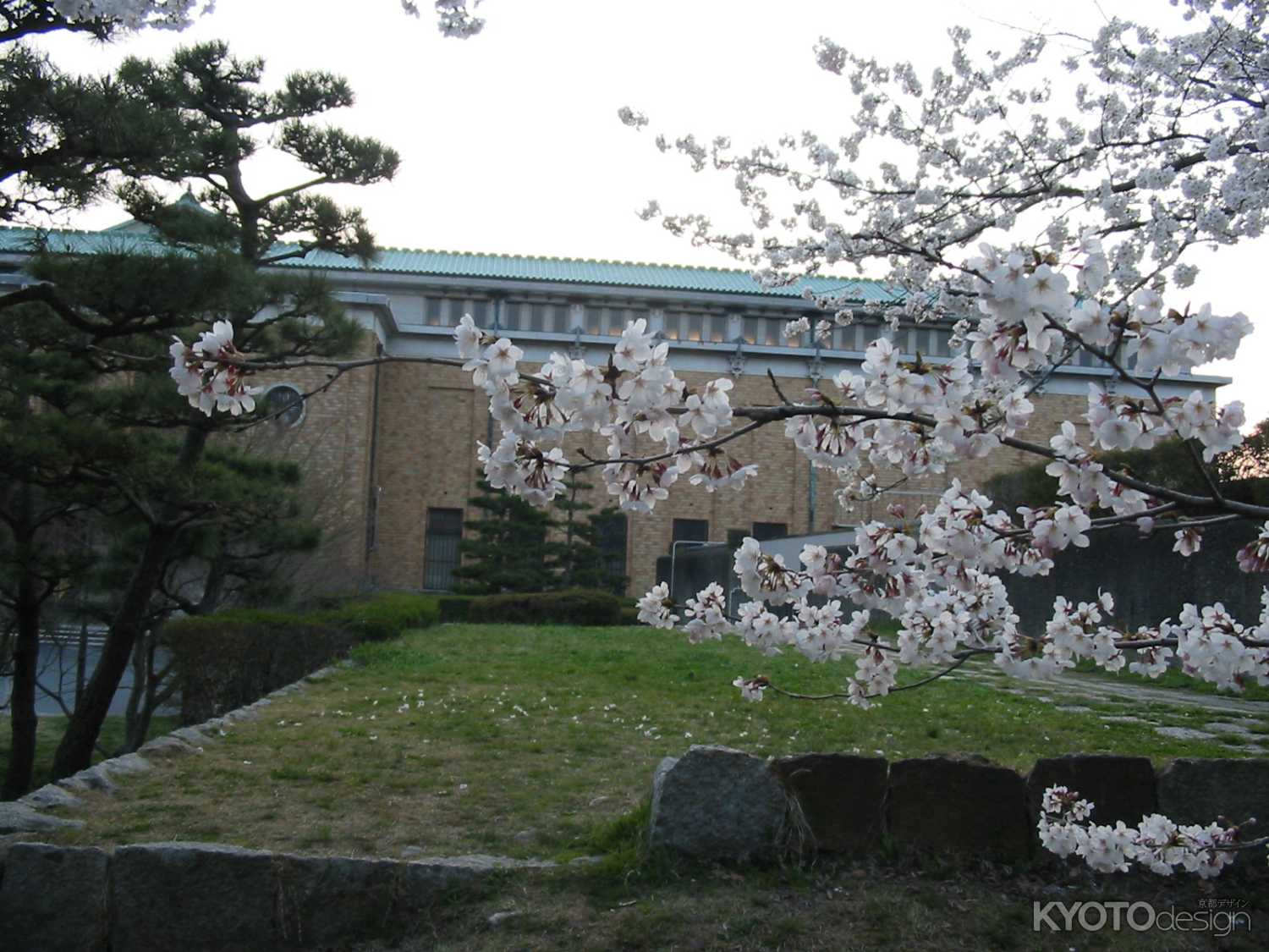桜と京都市美術館