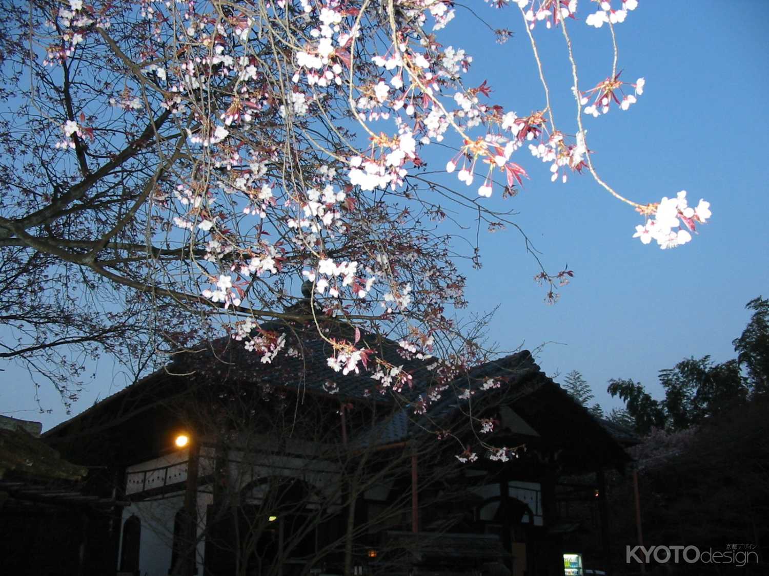 岡崎公園の夕暮れ