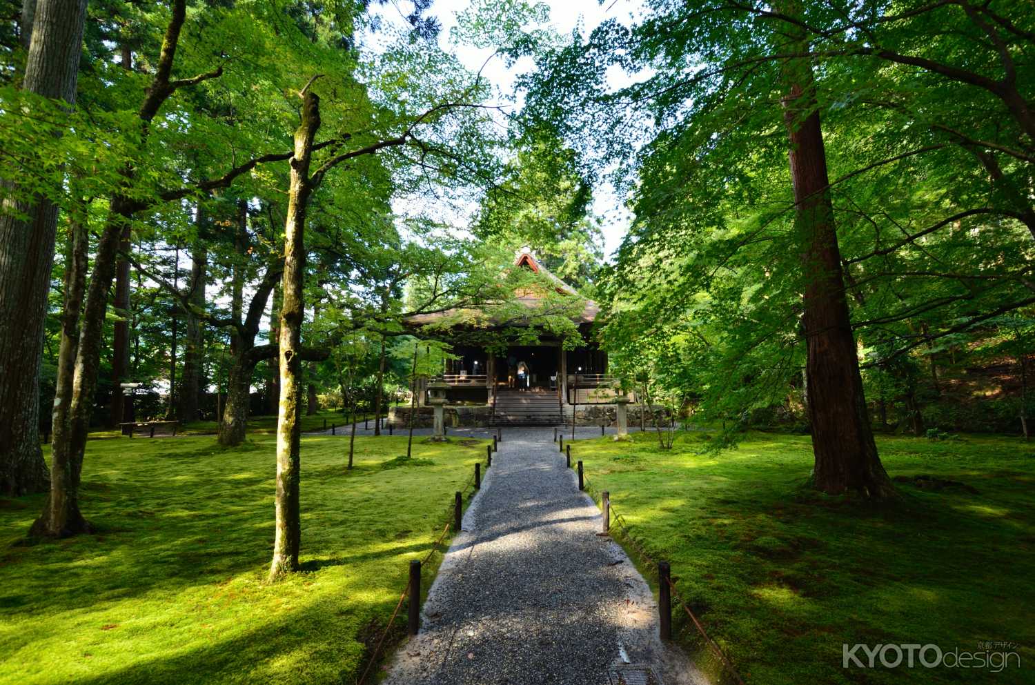 午後の木洩れ日