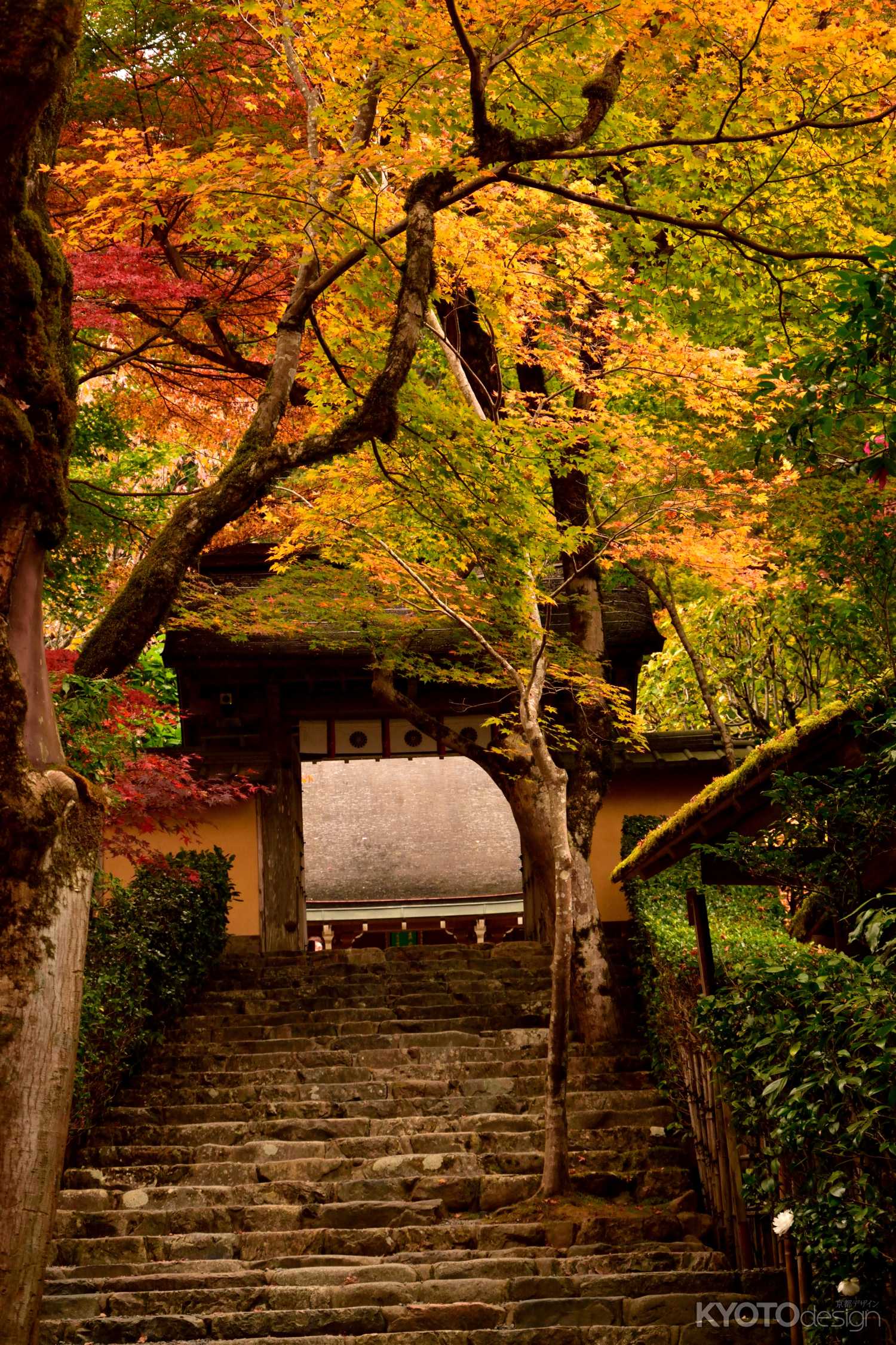 秋、平家を偲ぶ