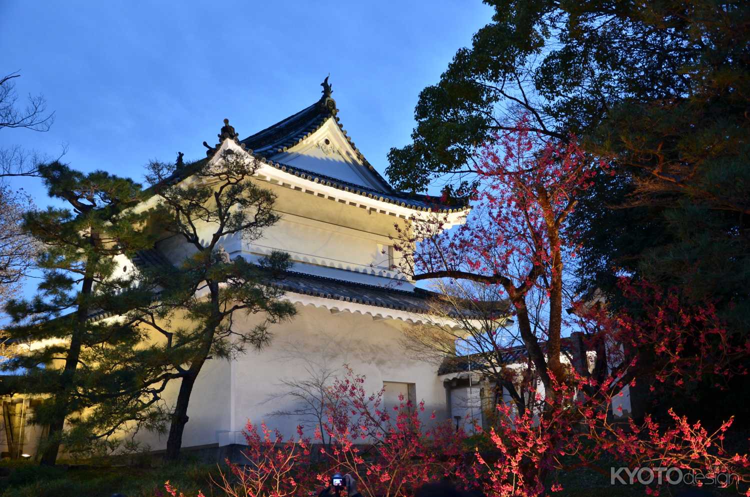元離宮　春の夜の夢