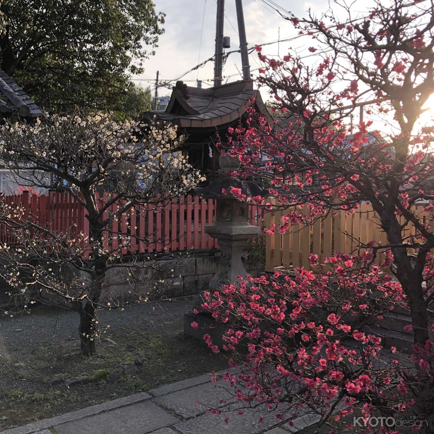2019.02.09縣神社