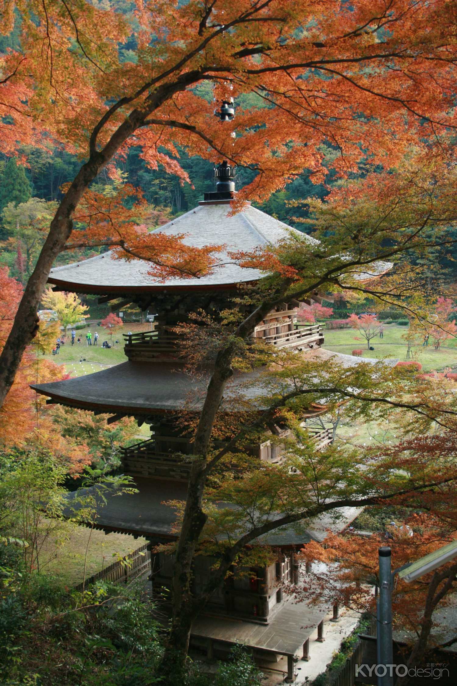 もみじに包まれる金剛院