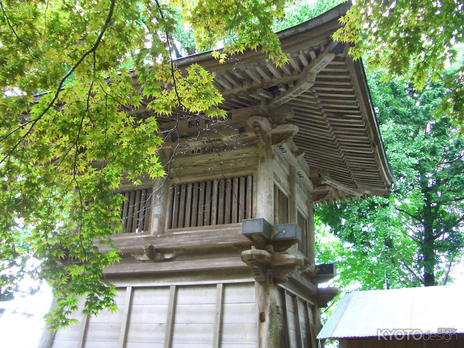 緑の楓と松尾寺