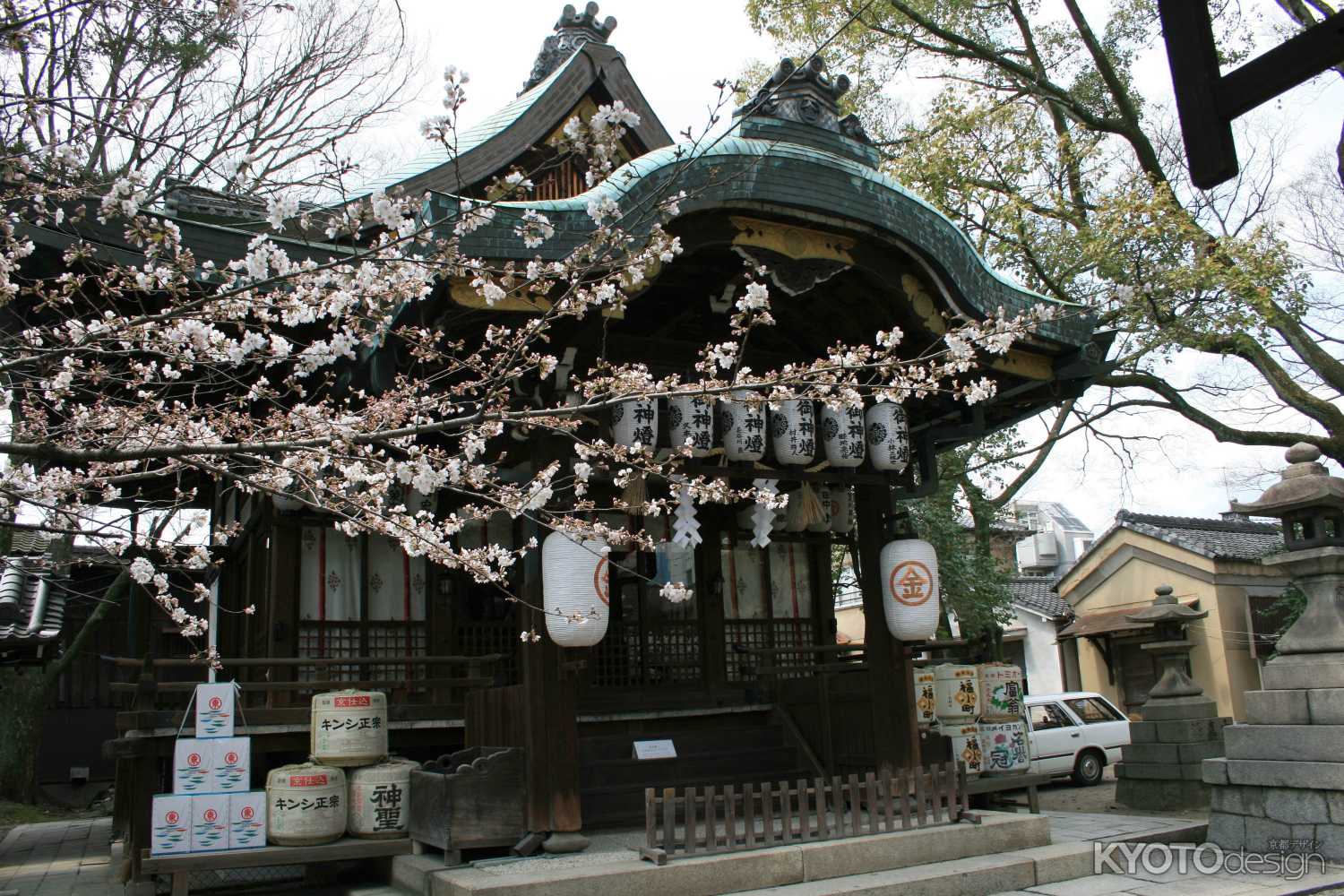 安井金比羅宮の桜