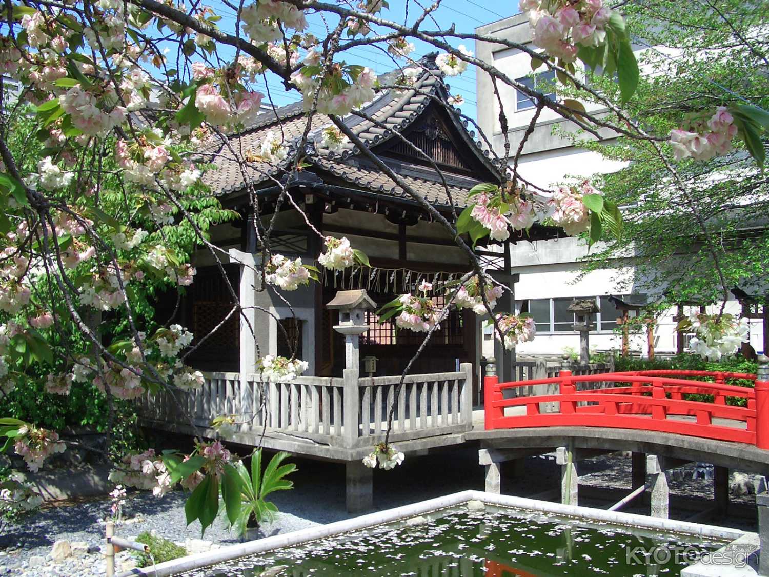 春の六孫王神社