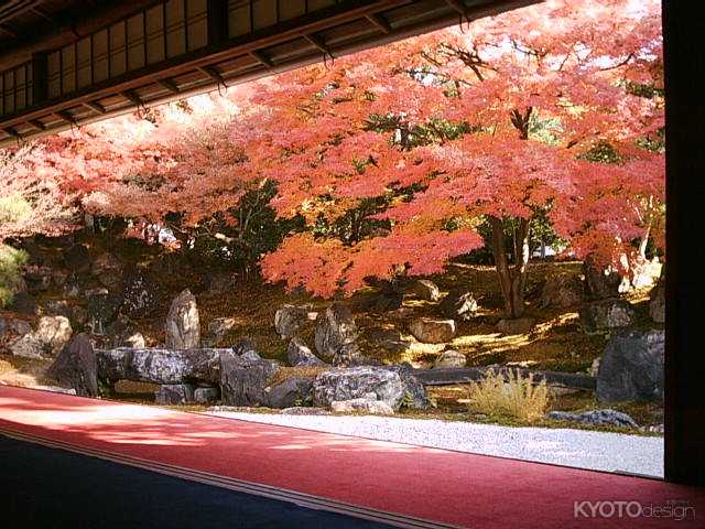 圓徳院の紅葉