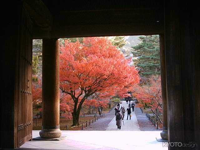 南禅寺参道の紅葉