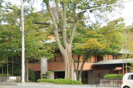 ハイアットリージェンシー京都