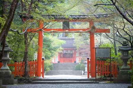 大原野神社
