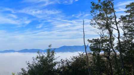 かめおか霧のテラス